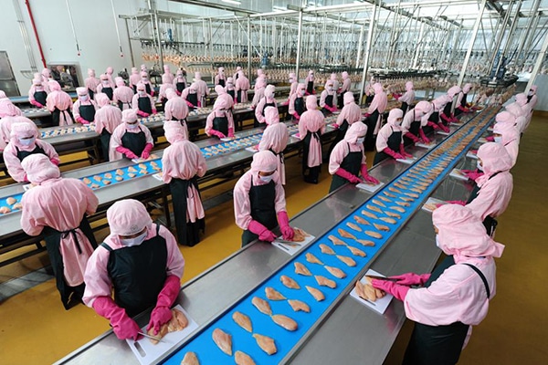 Manufacturing Industry11