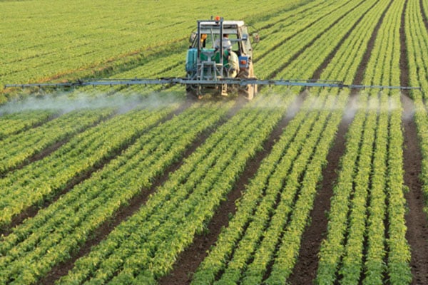 agriculture